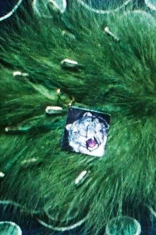 Feather-Arrangement Poster