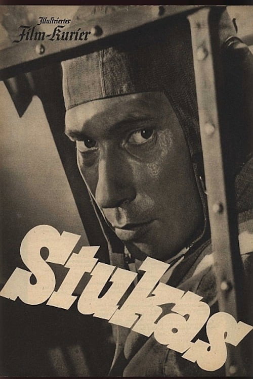 Stukas Poster