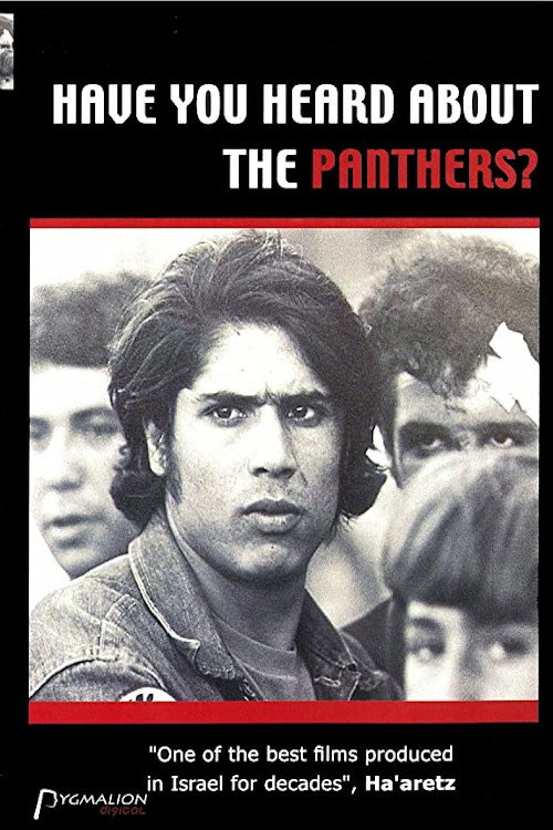 Have You Heard about the Panthers? Poster