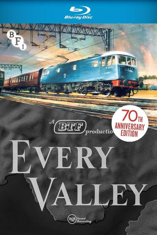 Every Valley Poster