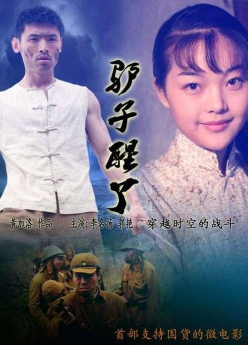 驴子醒了 Poster