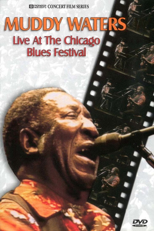 Muddy Waters Live at the Chicago Blues Festival Poster