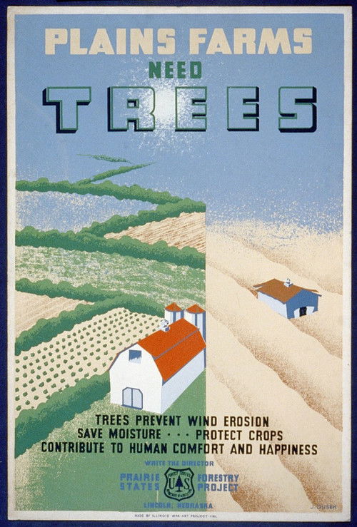 Windbreaks on the Prairies Poster