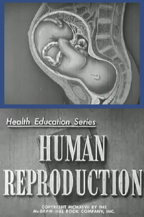 Human Reproduction Poster