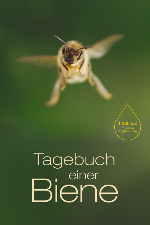Diary of a Bee Poster