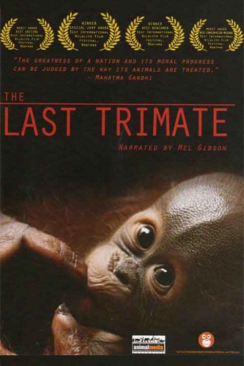The Last Trimate Poster