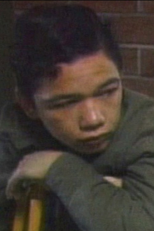 The Story of Vinh Poster