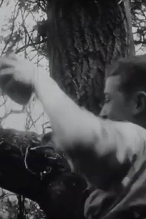 The Nest Robbers Poster