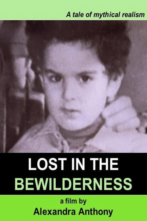 Lost in the Bewilderness Poster