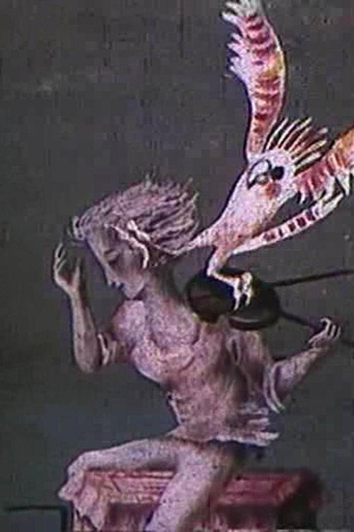 A Variegated Butterfly Poster