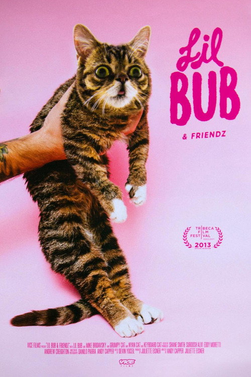 Lil Bub & Friendz Poster