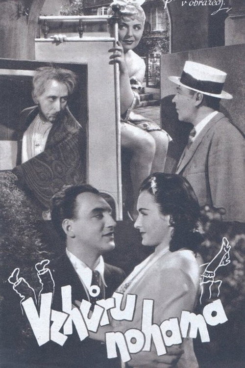 Vzhůru nohama Poster