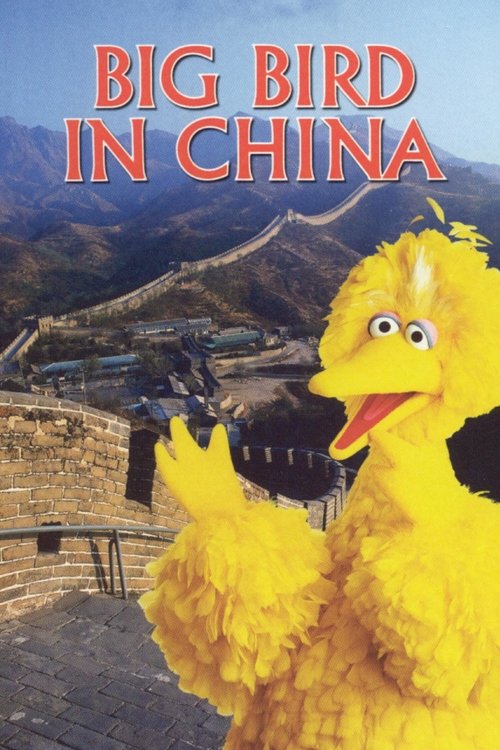 Big Bird in China Poster