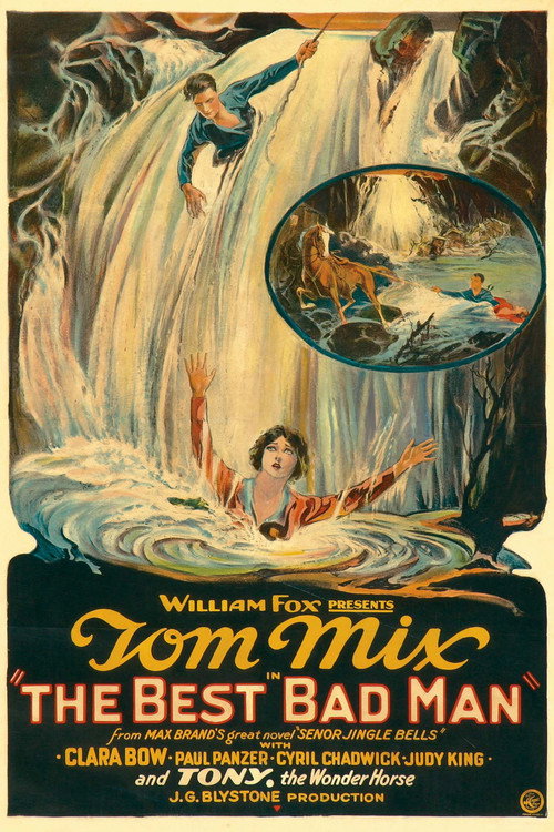 The Best Bad Man Poster