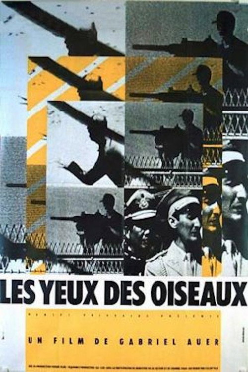 The Eyes of the Birds Poster
