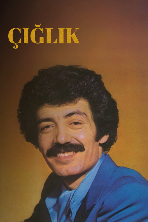 Çığlık Poster