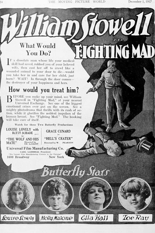 Fighting Mad Poster