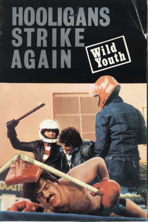 Wild Youth Poster