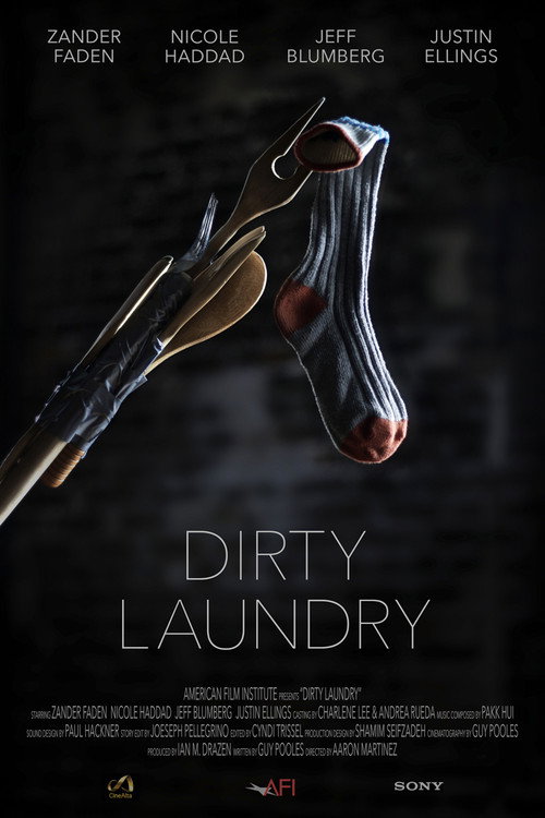 Dirty Laundry Poster