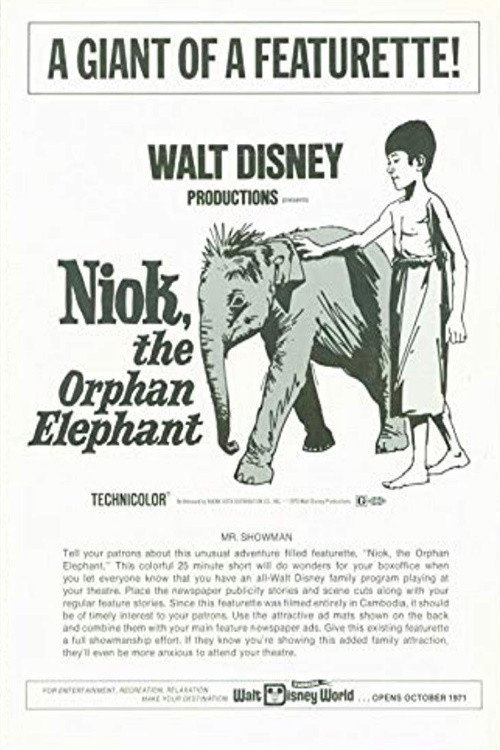 Niok, The Orphan Elephant Poster