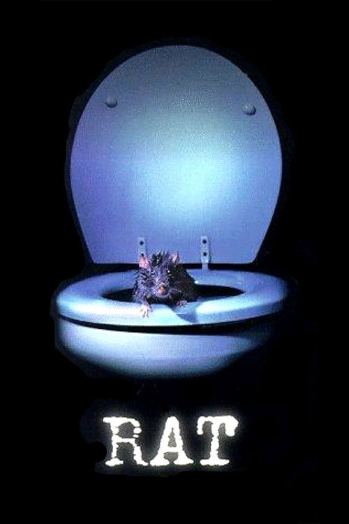 Rat Poster