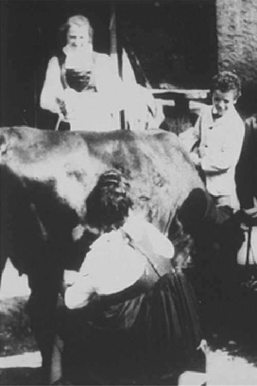 Intérieur d'une vacherie Poster