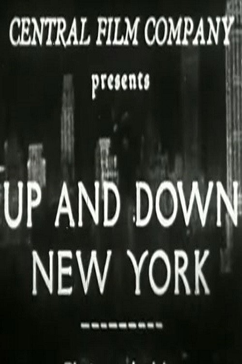 Up And Down New York Poster