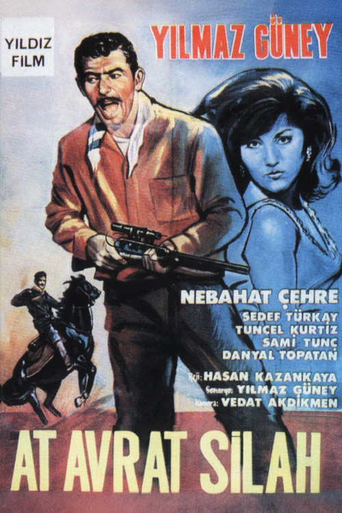 Horse, Woman and Gun Poster