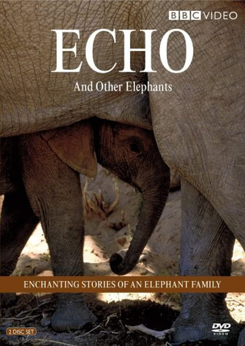 Echo of the Elephants, The Story of an Elephant Family Poster