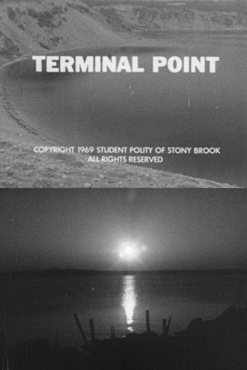 Terminal Point Poster