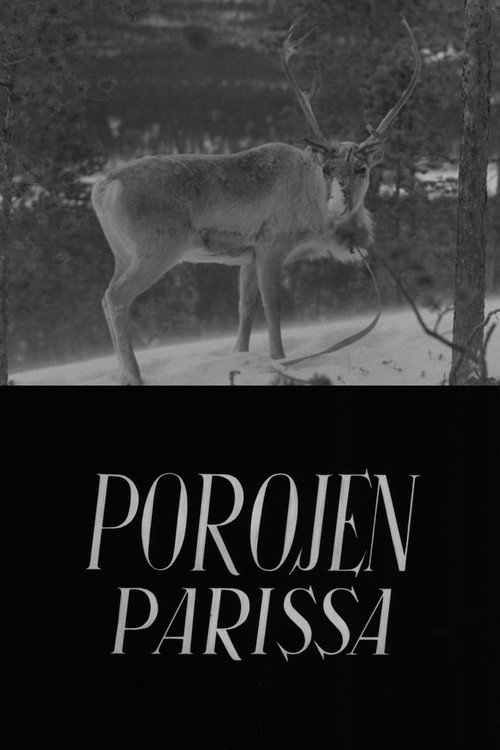 With the Reindeer Poster