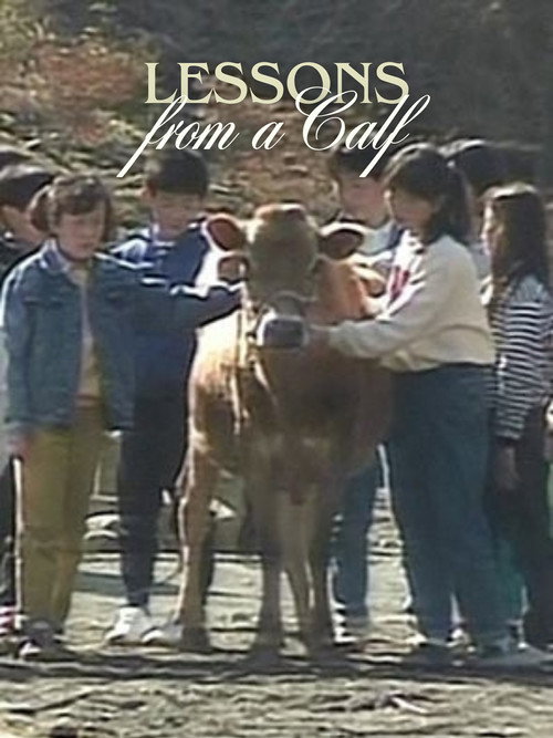 Lessons from a Calf Poster
