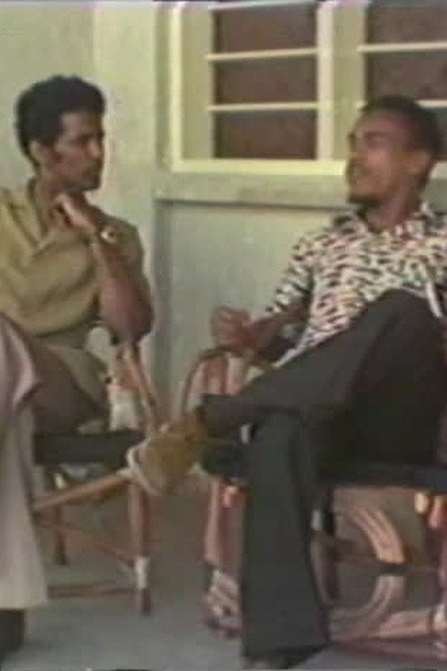 Nor Was This All By Any Means Poster