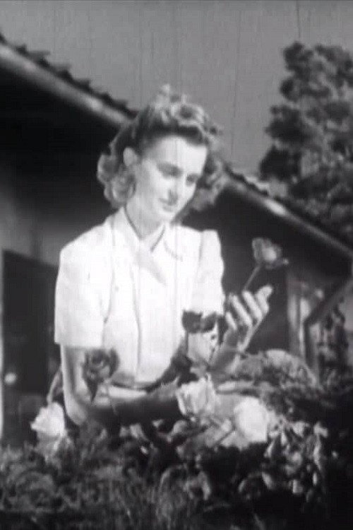 Stay a While! Poster