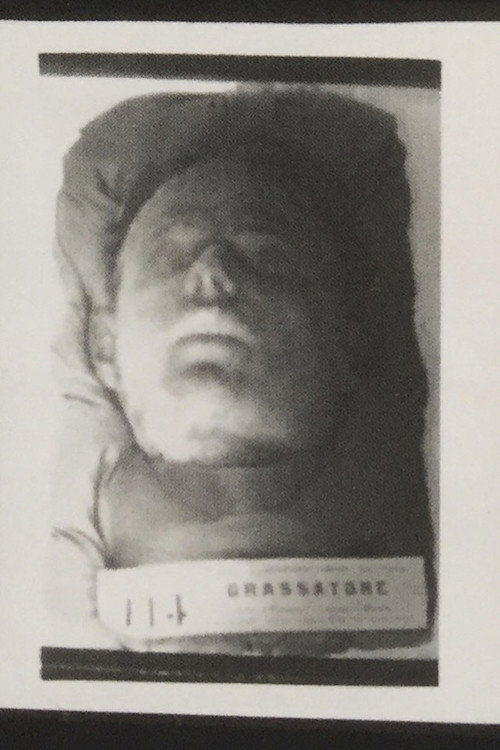 Cesare Lombroso - Sull'odore del garofano Poster