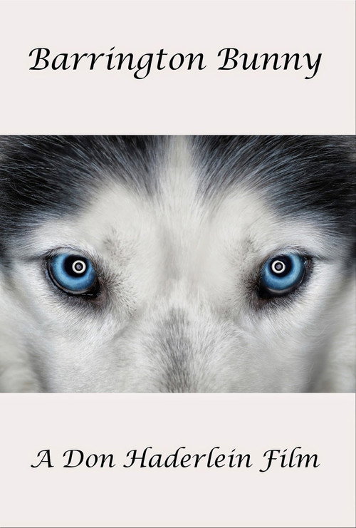 Barrington Bunny Poster