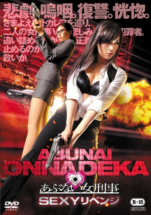 Dangerous Woman Detective Sexy Revenge Poster