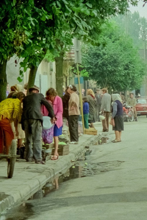 Fortune Favours Łęczna Poster