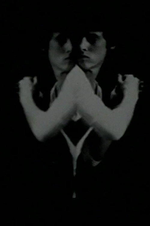 Environmental Symmetry Poster