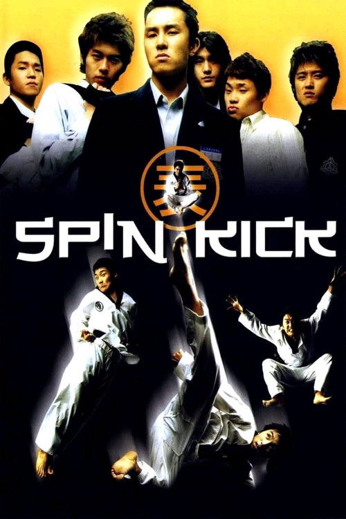 Spin Kick Poster