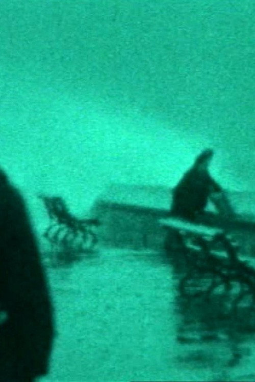 The Maelstrom: A Family Chronicle Poster
