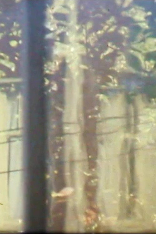 Windchimes, Window, Tree Poster