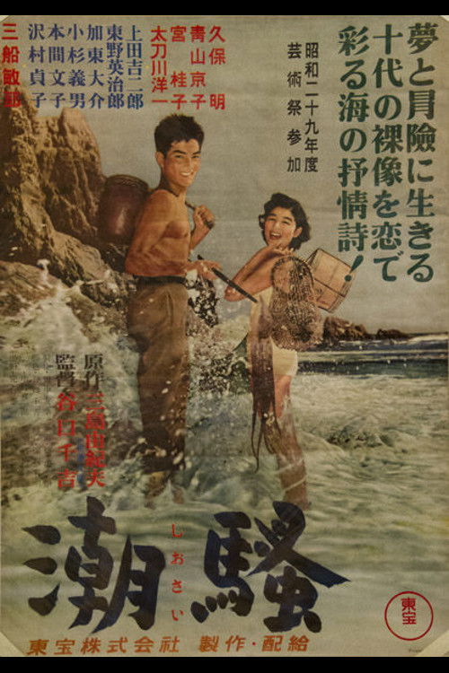 The Surf Poster