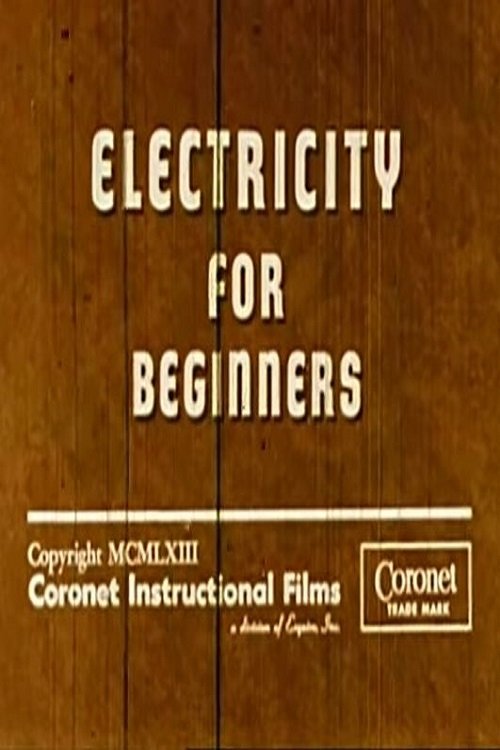 Electricity for Beginners Poster