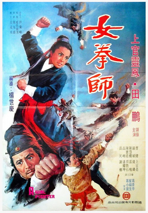 A Girl Fighter Poster