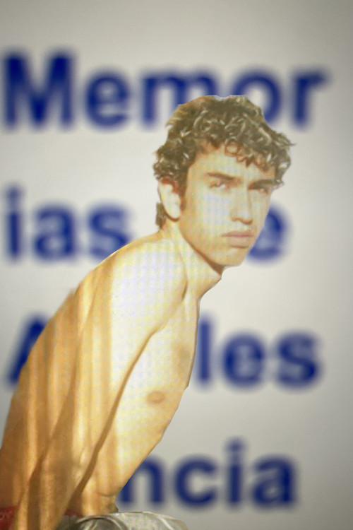 Memories Of Adolescence Poster