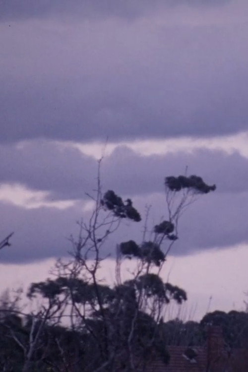 Winter Last July Poster