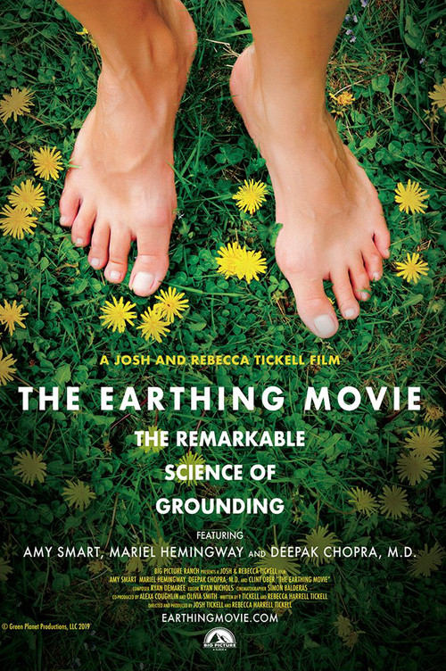 The Earthing Movie Poster