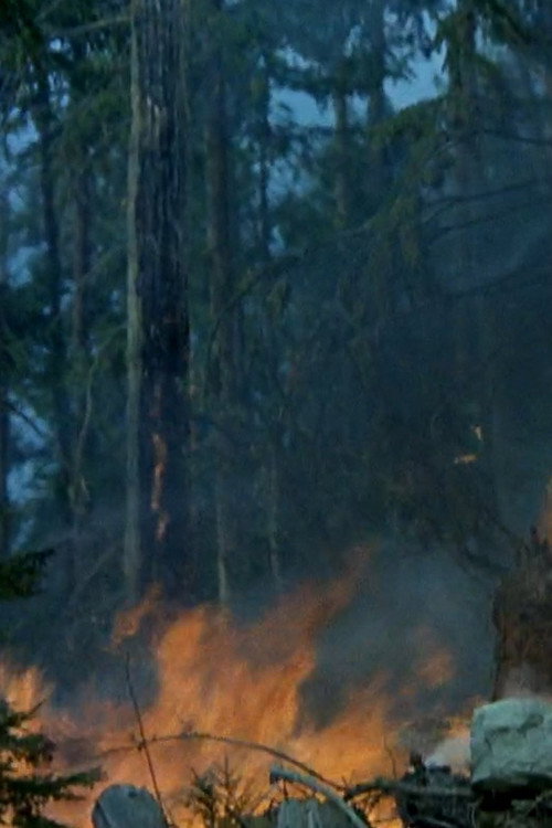 Small Smoke at Blaze Creek Poster