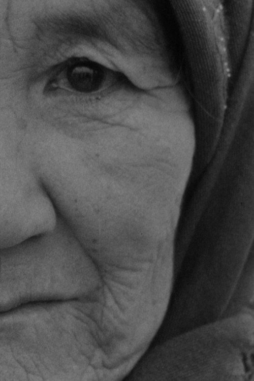 In Memoriam László Mészáros Poster